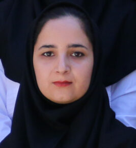 92-sheidai نسیم شیدایی