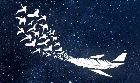 هواپیمای اکراینی
