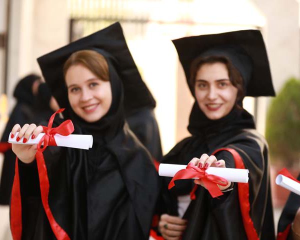 تغذیه 961