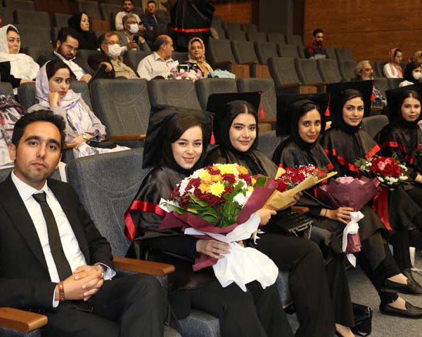 ورودی 971
