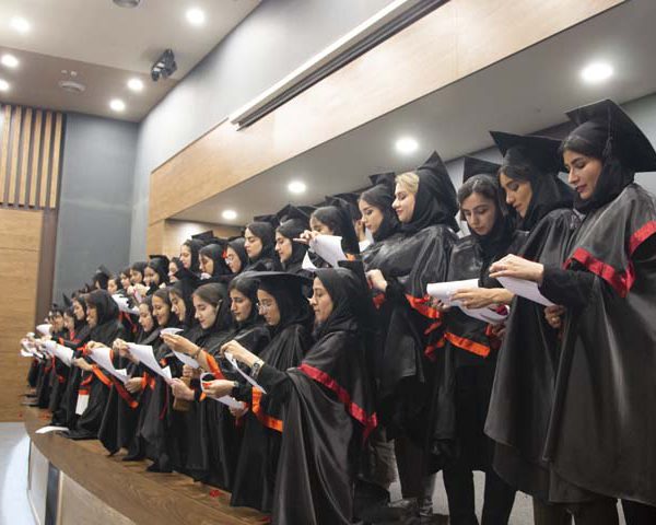 ورودی 971
