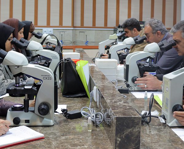تفسیر CBC