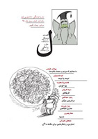 نشریه فیل