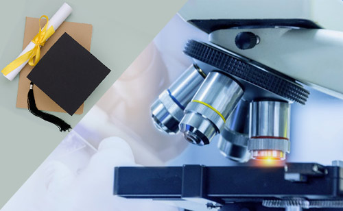 p-n-ls دانش آموختگان