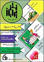 نشریه پرانتز باز