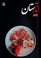 نشریه انارستان