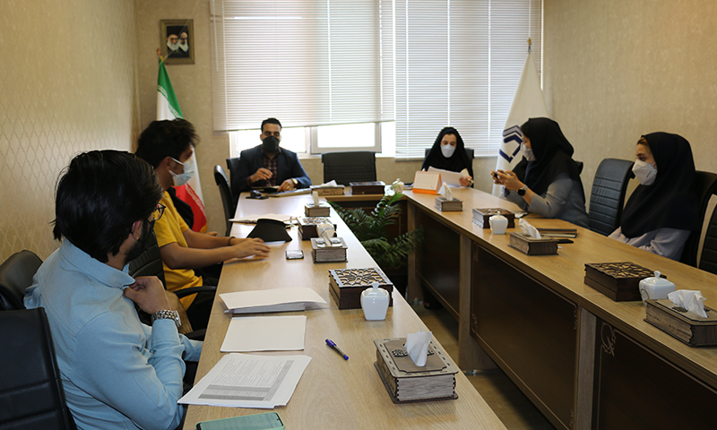 کارگروه مشورتی