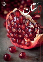 anarestan