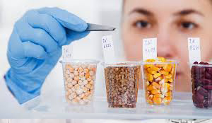 کنترل کیفیت مواد غذایی