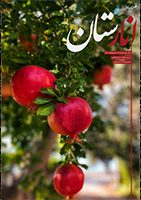 نشریه انارستان