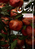 انارستان 13