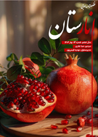 انارستان 14