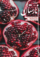 یازدهمین شماره از نشریه‌ی فرهنگی ادبی انارستان