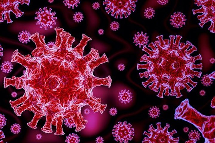 ویروس شناسی پزشکی