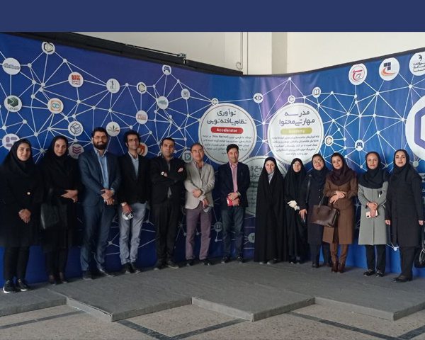 بازدید نیتک