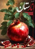 انارستان 10