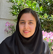رز شایگی